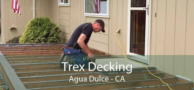 Trex Decking Agua Dulce - CA